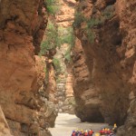 The last gorges are STUNNING!