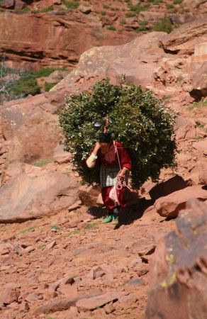 Berber Woman