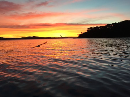 Sunset from the back of The Rock in the Bay Of Islands