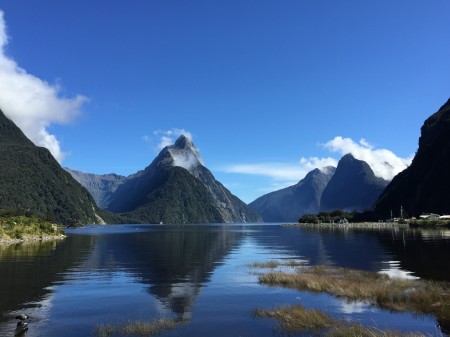 A perfect day in Milford Sound.