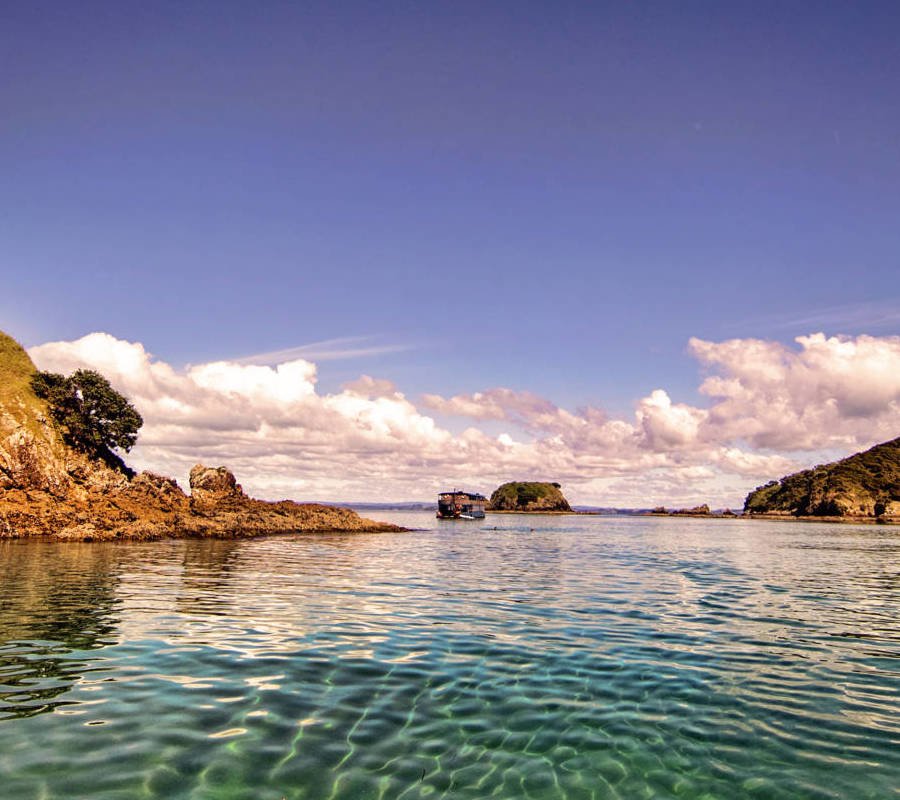 Image of Bay Of Islands