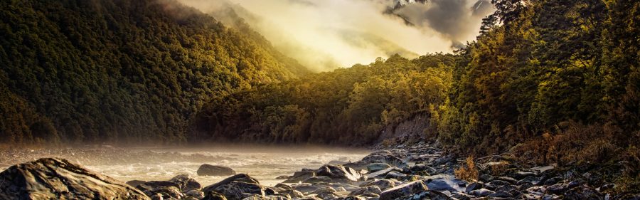 Image of sunset on Landsborough River