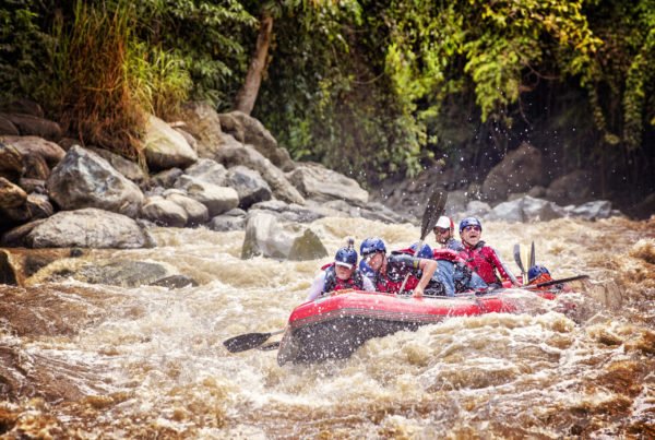 Prepare yourself for some of the best rafting in the world.